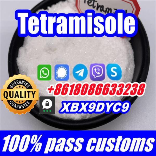Buy tetramisole stock99 tetramisole hcl for sale